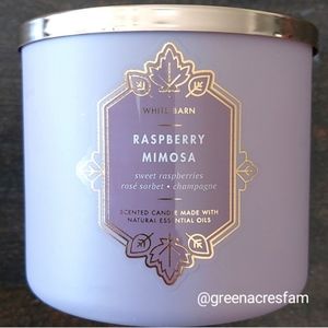 🥂🍇 Raspberry Mimosa 3 Wick Candle